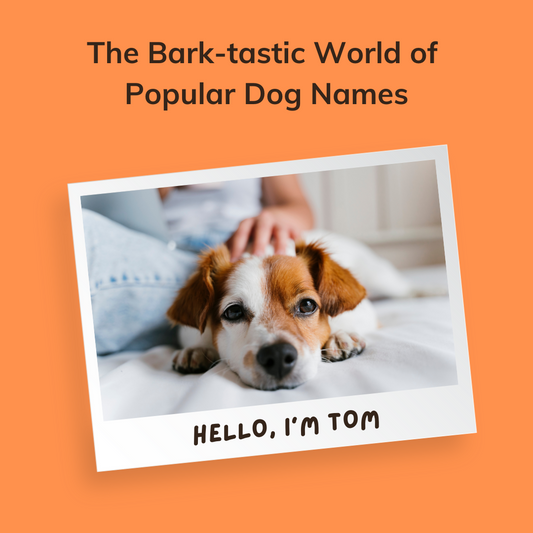 The Bark-tastic World of Popular Dog Names