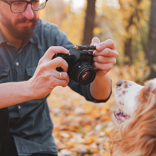 The Art of Dog Photography: Tips and Tricks for Capturing Stunning Portraits of Your Pup