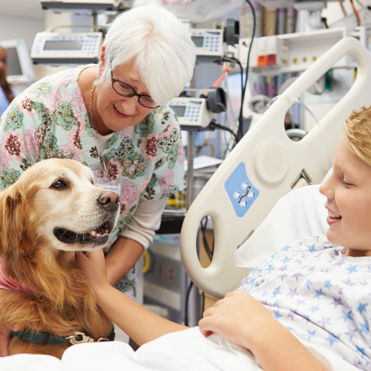 The Healing Power of Dogs: How Therapy Dogs Make a Difference in Healthcare Settings