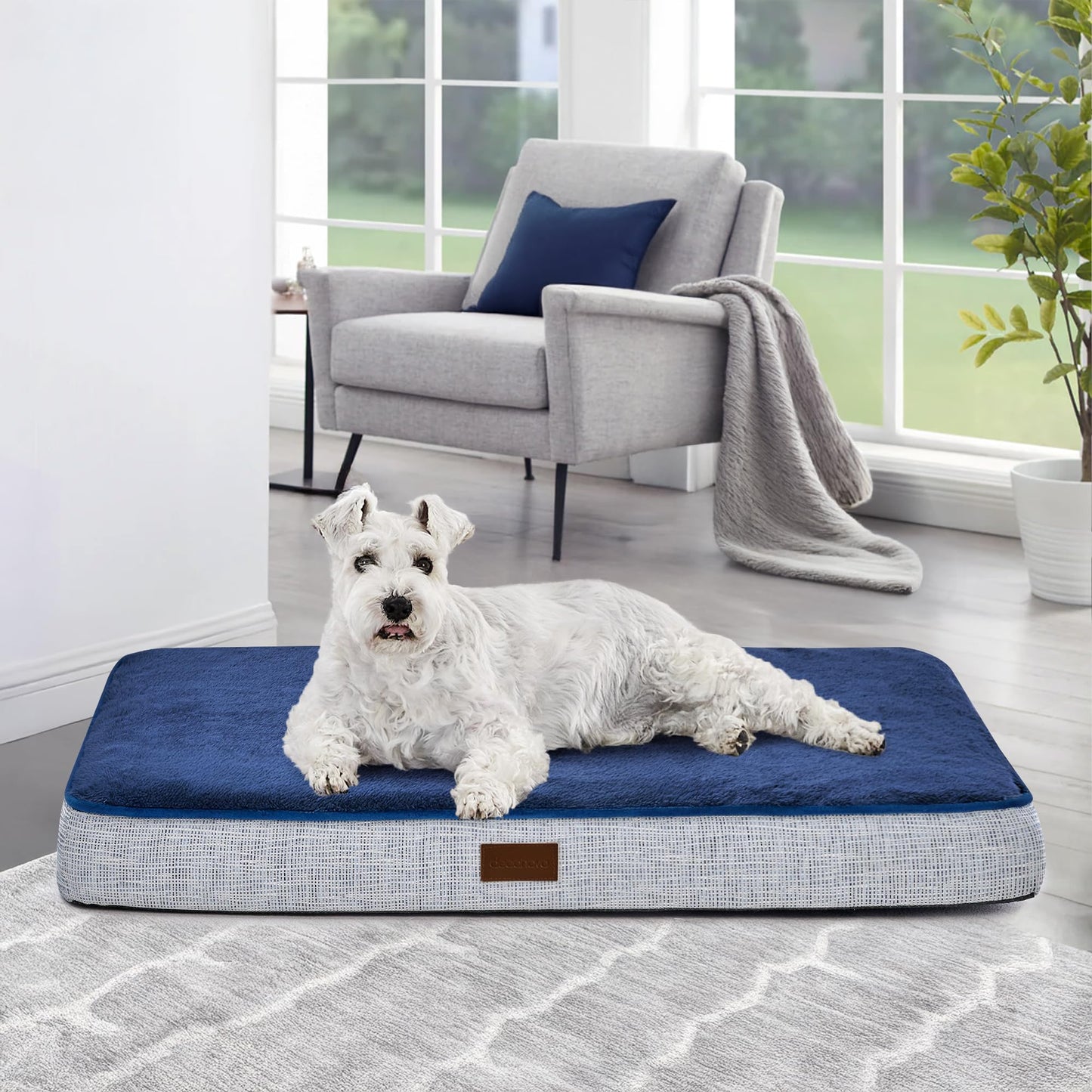 Orthopedic Dog Bed with Washable Cover, Non-Slip - Trendy Dog Boutique