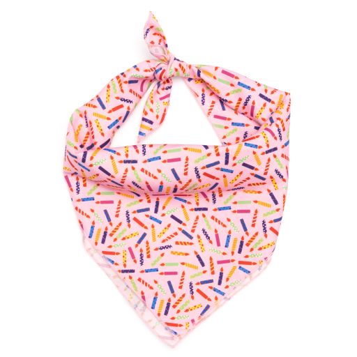 Its My Birthday Pink Bandana - Trendy Dog Boutique