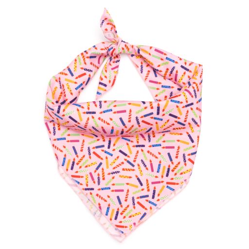 Its My Birthday Pink Dog Bandana, Front View - Trendy Dog Boutique