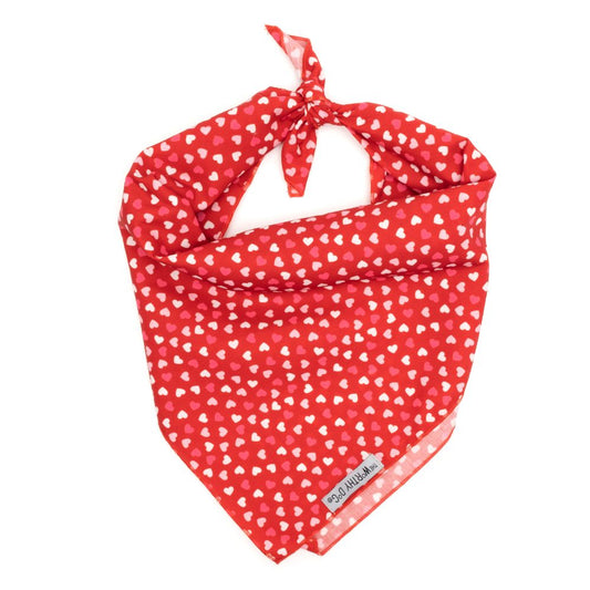 Cupid Valentine Dog Bandana, Front View, Tied - Trendy Dog Boutique