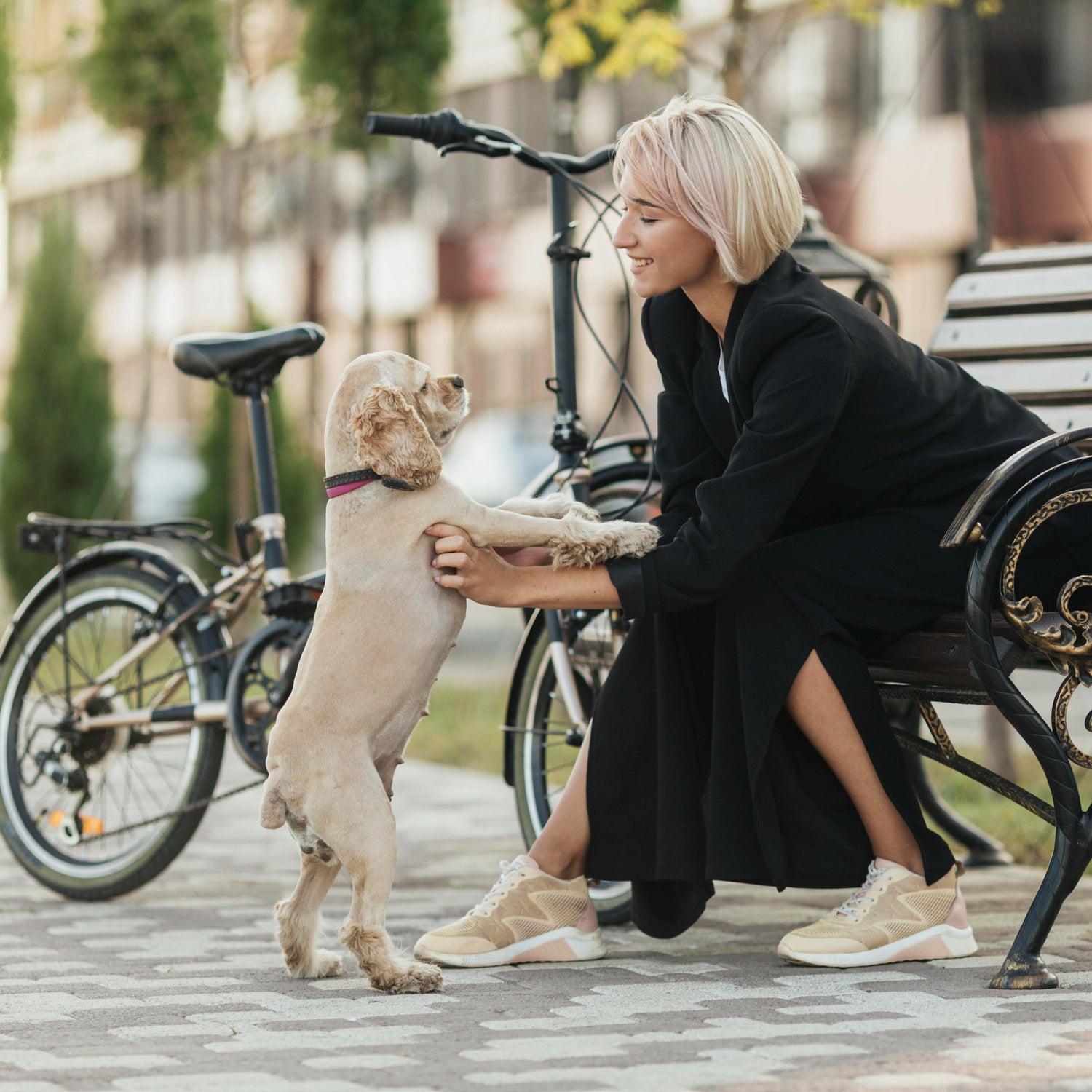 Trendy Dog Boutique