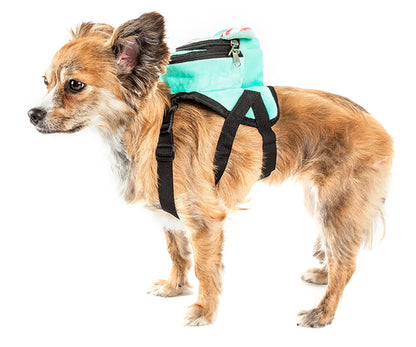 Dumbone Dog Backpack Harness, On Dog, Side View - Trendy Dog Boutique