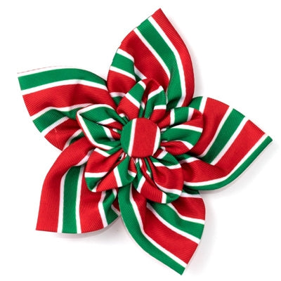 Holiday Striped Dog Flower Bow, Front View - Trendy Dog Boutique