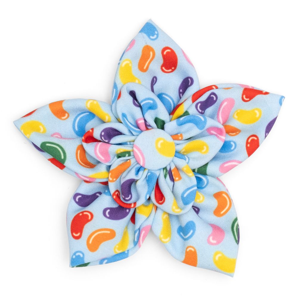 Jelly Bean Dog Collar Flower - Trendy Dog Boutique