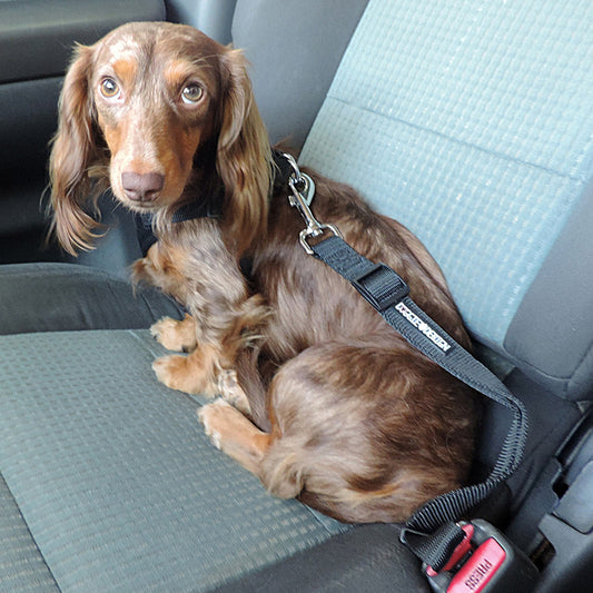 Seat Belt Strap Dog Car Leash - Trendy Dog Boutique