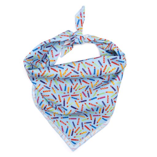 Its My Birthday Blue Dog Bandana, Front View - Trendy Dog Boutique