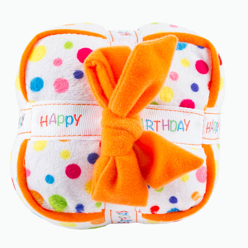 Happy Birthday Gift Box - Trendy Dog Boutique