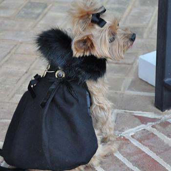 Black Wool Fur-Trimmed Dog Harness Coat, Back View, On Dog - Trendy Dog Boutique