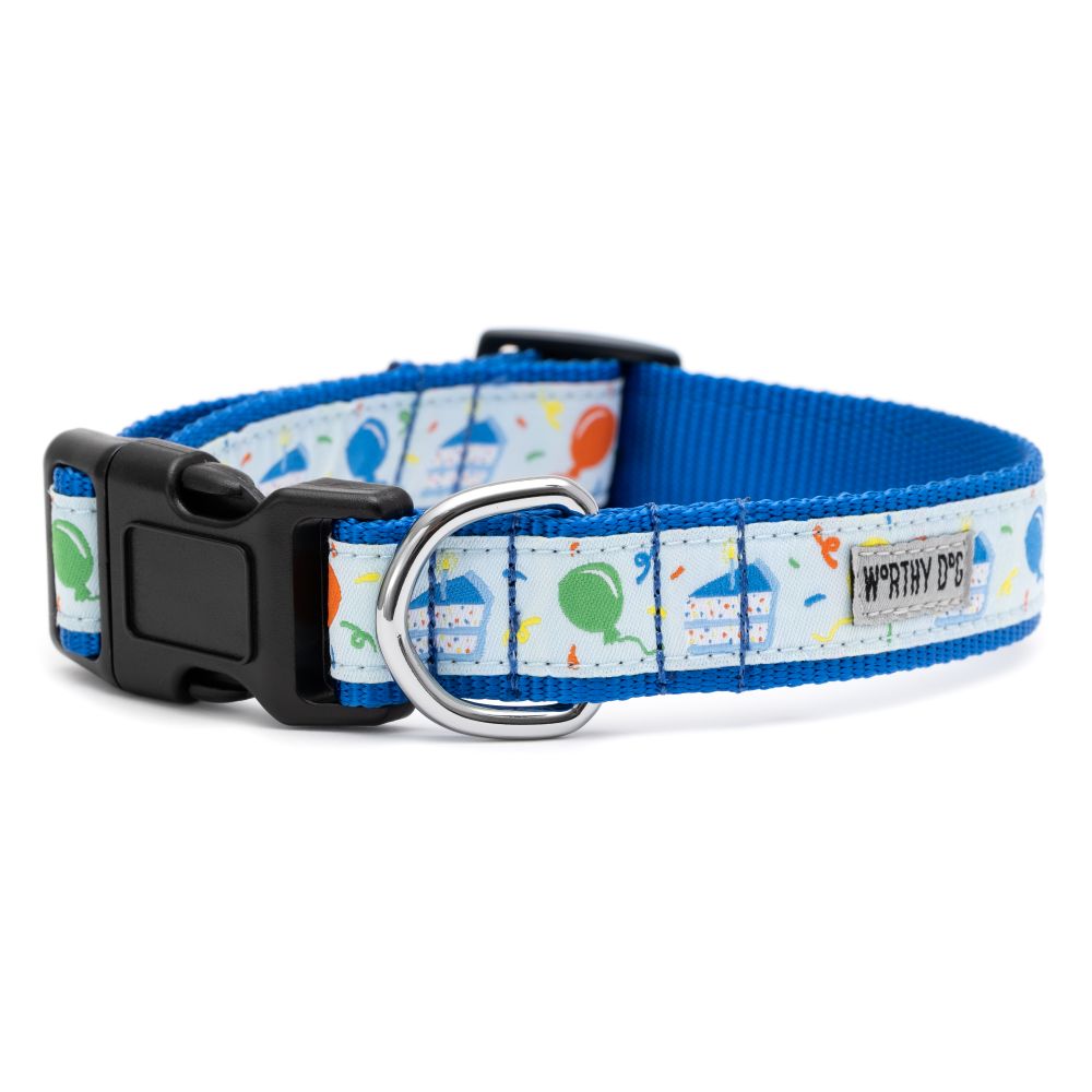 Blue Birthday Collar - Trendy Dog Boutique