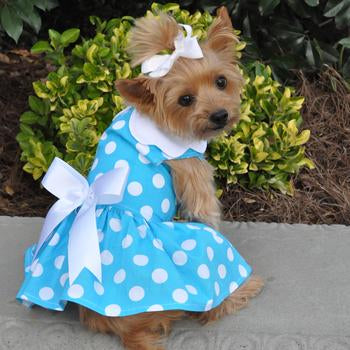 Blue Polka Dot Dog Harness Dog Dress, On Dog - Trendy Dog Boutique