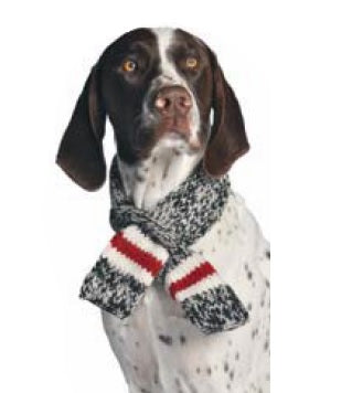 Red and White Boyfriend Dog Scarf - Trendy Dog Boutique