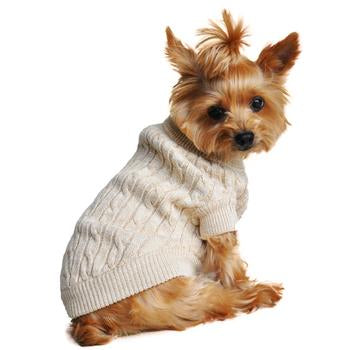 Combed Cotton Cable Knit Dog Sweater, Oatmeal, On Dog - Trendy Dog Boutique