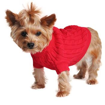 Combed Cotton Cable Knit Dog Sweater, Red, On Dog - Trendy Dog Boutique