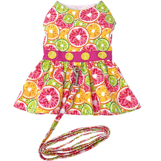 Citrus Slice Dog Harness Dress with Matching Leash - Trendy Dog Boutique
