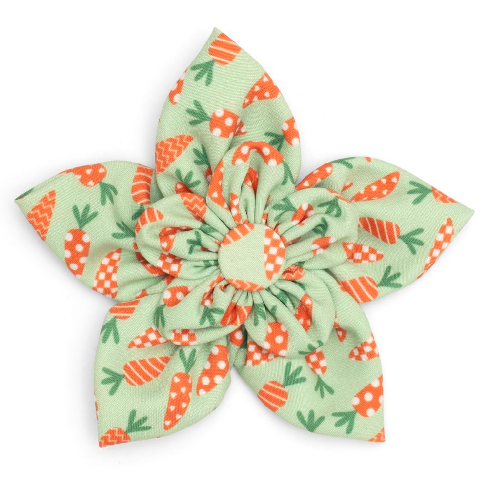 Crazy Carrots Dog Collar Flower - Trendy Dog Boutique