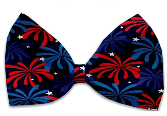 Fireworks Dog Bow Tie, Front View - Trendy Dog Boutique
