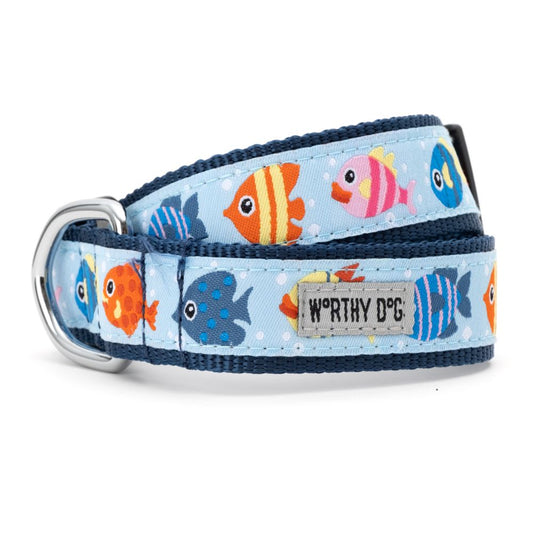 Swimming Fishy Dog Collar - Trendy Dog Boutique