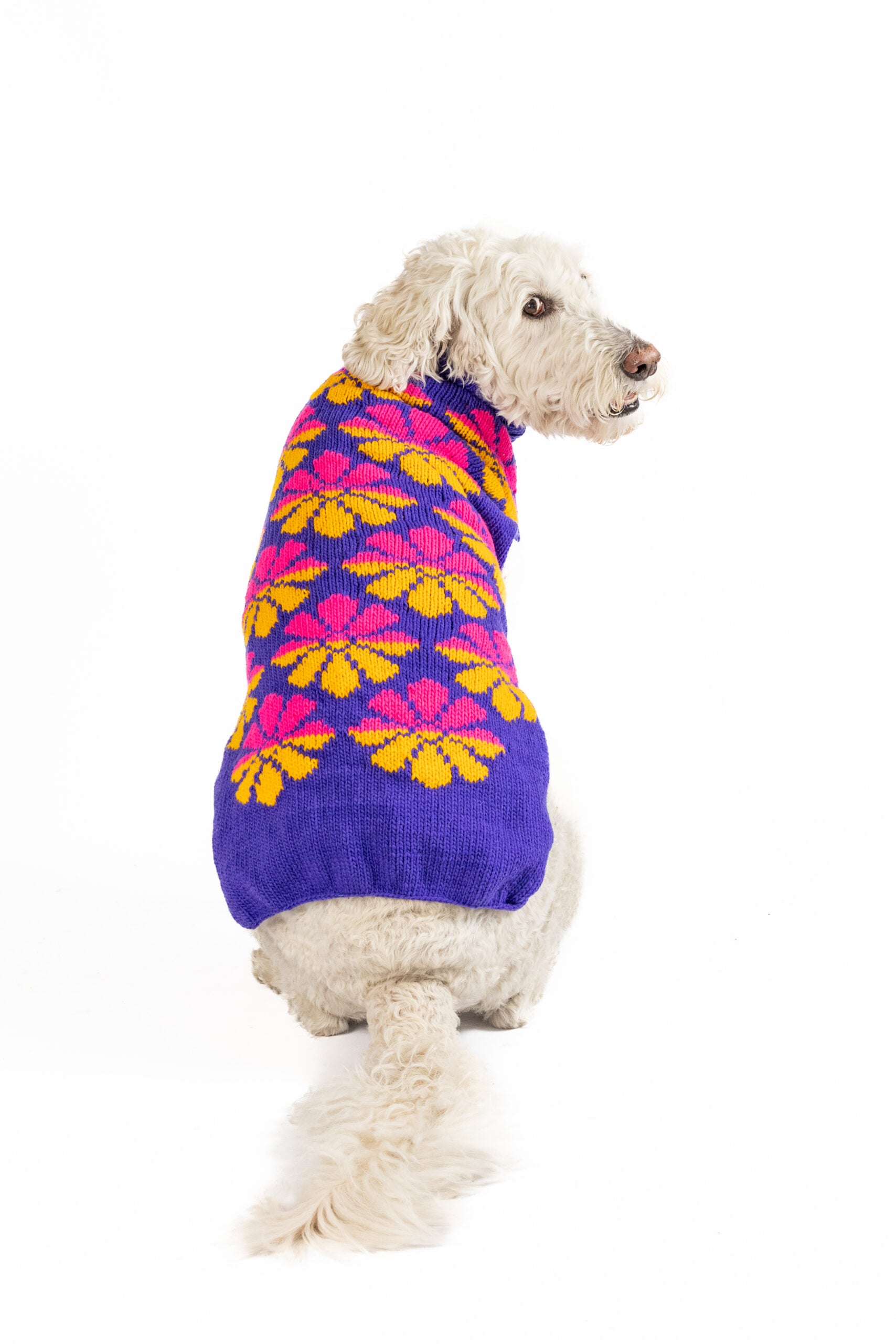 Flower Power Dog Sweater - Trendy Dog Boutique