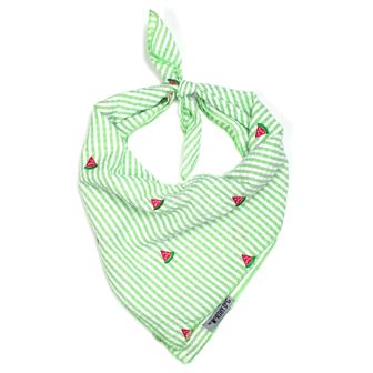Green Stripe Watermelon, Tied, Front View - Trendy Dog Boutique