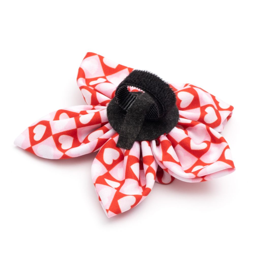 Colorblock Hearts Dog Flower Bow, Velcro Attachment - Trendy Dog Boutique