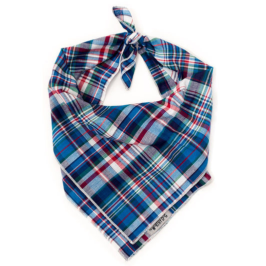 Madras Navy Plaid Classic Dog Bandana, Front View, Tied - Trendy Dog Boutique