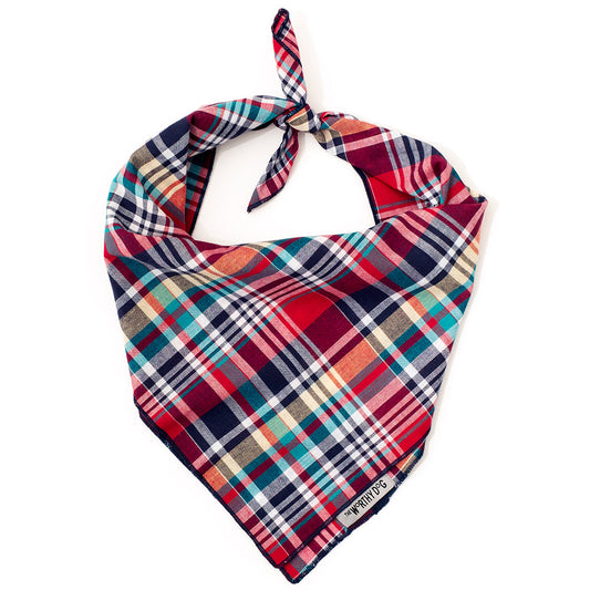 Madras Red Plaid Classic Dog Bandana, Front View, Tied - Trendy Dog Boutique