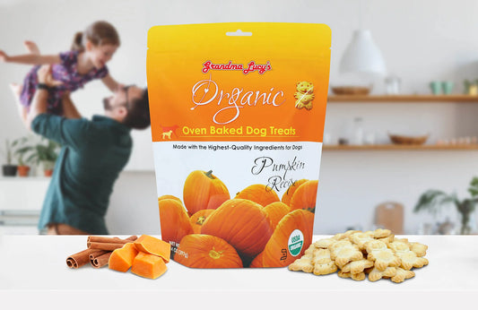 Organic Pumpkin Dog Treats - Trendy Dog Boutique