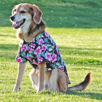 Paradise Nights Hawaiian Doggie Shirt, On Dog - Trendy Dog Boutique