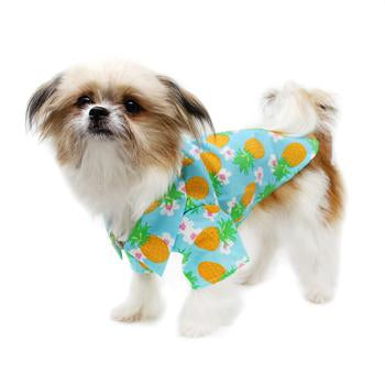 Pineapple Luau Hawaiian Doggie Shirt, On Dog - Trendy Dog Boutique