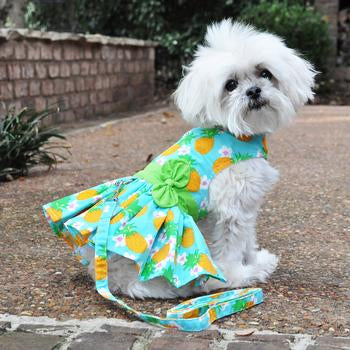 Pineapple Luau Dog Harness Dress, On Dog - Trendy Dog Boutique