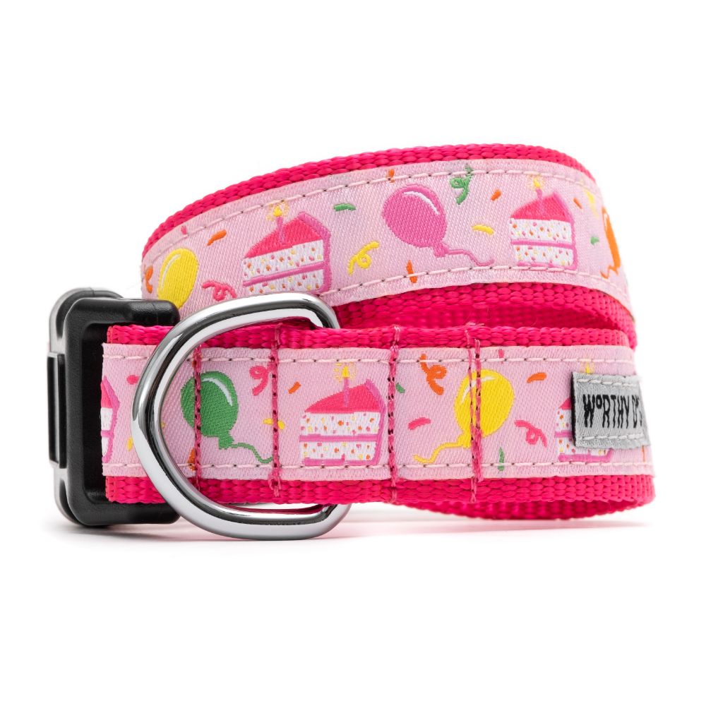 Pink Birthday Dog Collar, Front View - Trendy Dog Boutique