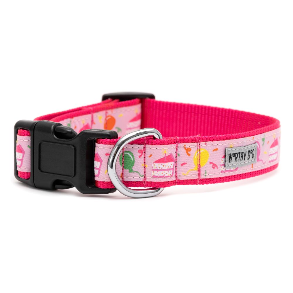 Pink Birthday Dog Collar, Side View - Trendy Dog Boutique