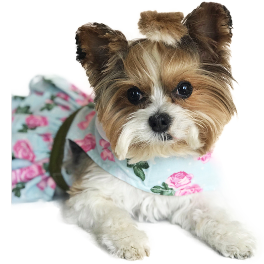 Pink Rose  Dog Harness Dress with Matching Leash - Trendy Dog Boutique