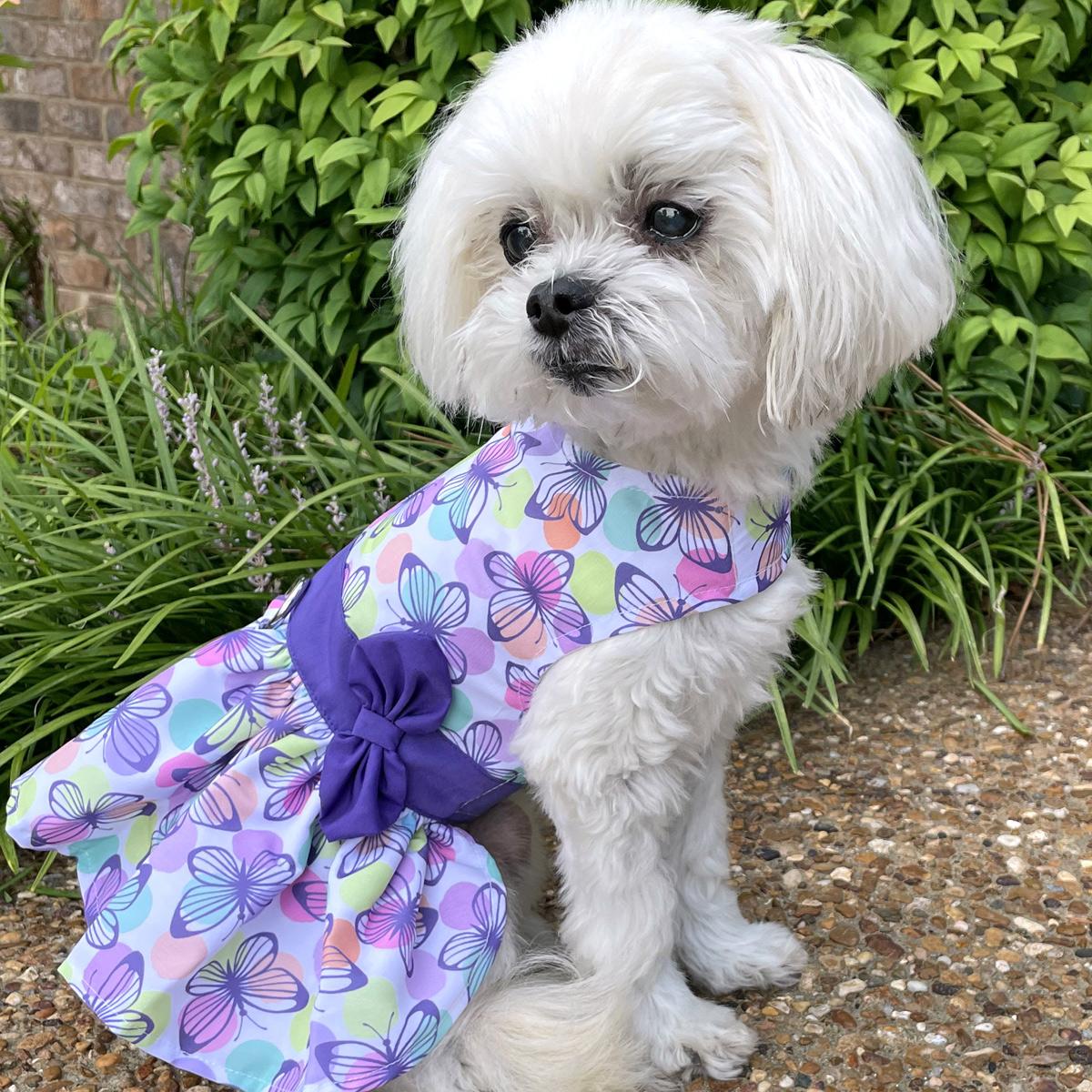 Purple Butterfly Dog Harness Dress with Matching Leash - Trendy Dog Boutique
