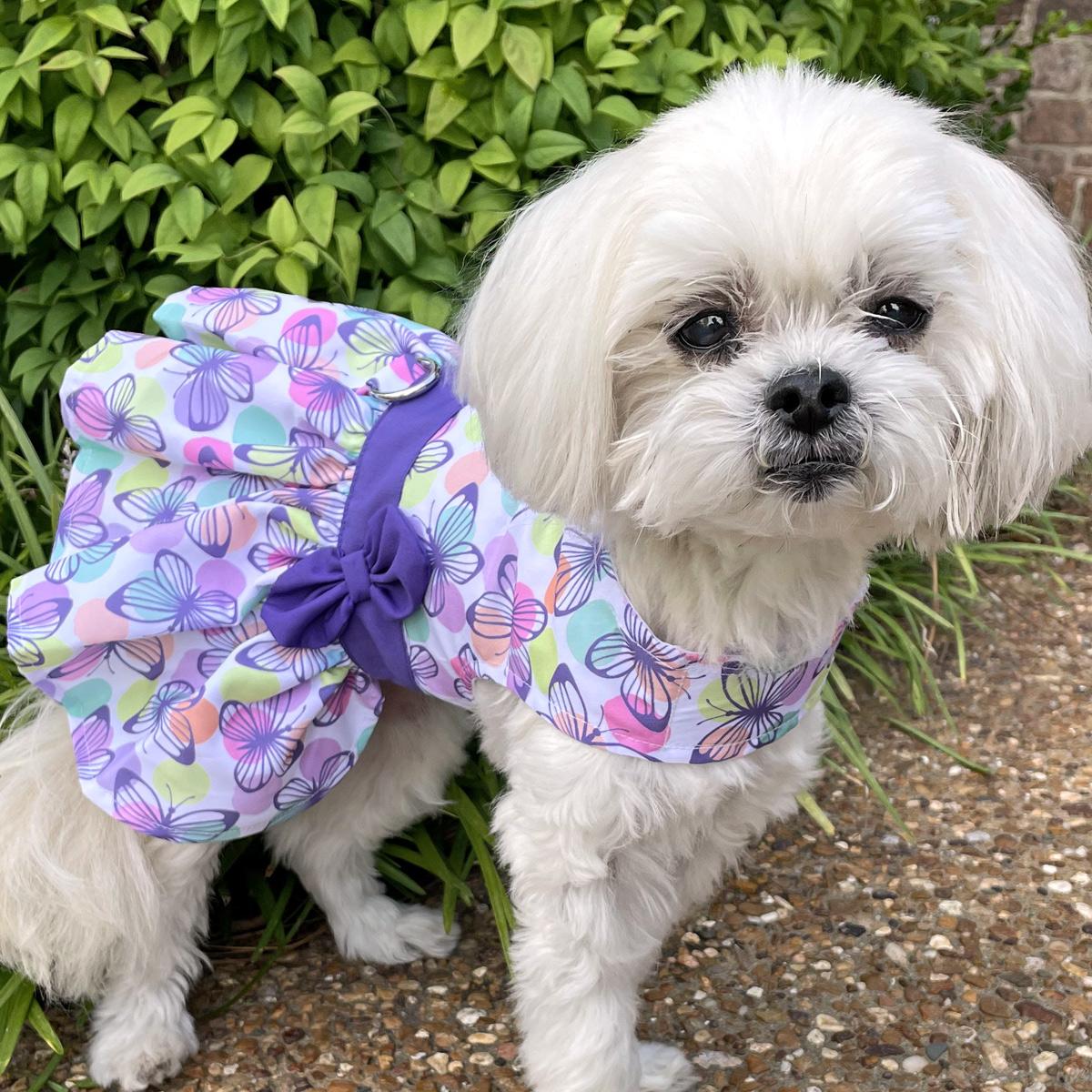 Purple Butterfly Dog Harness Dress with Matching Leash - Trendy Dog Boutique