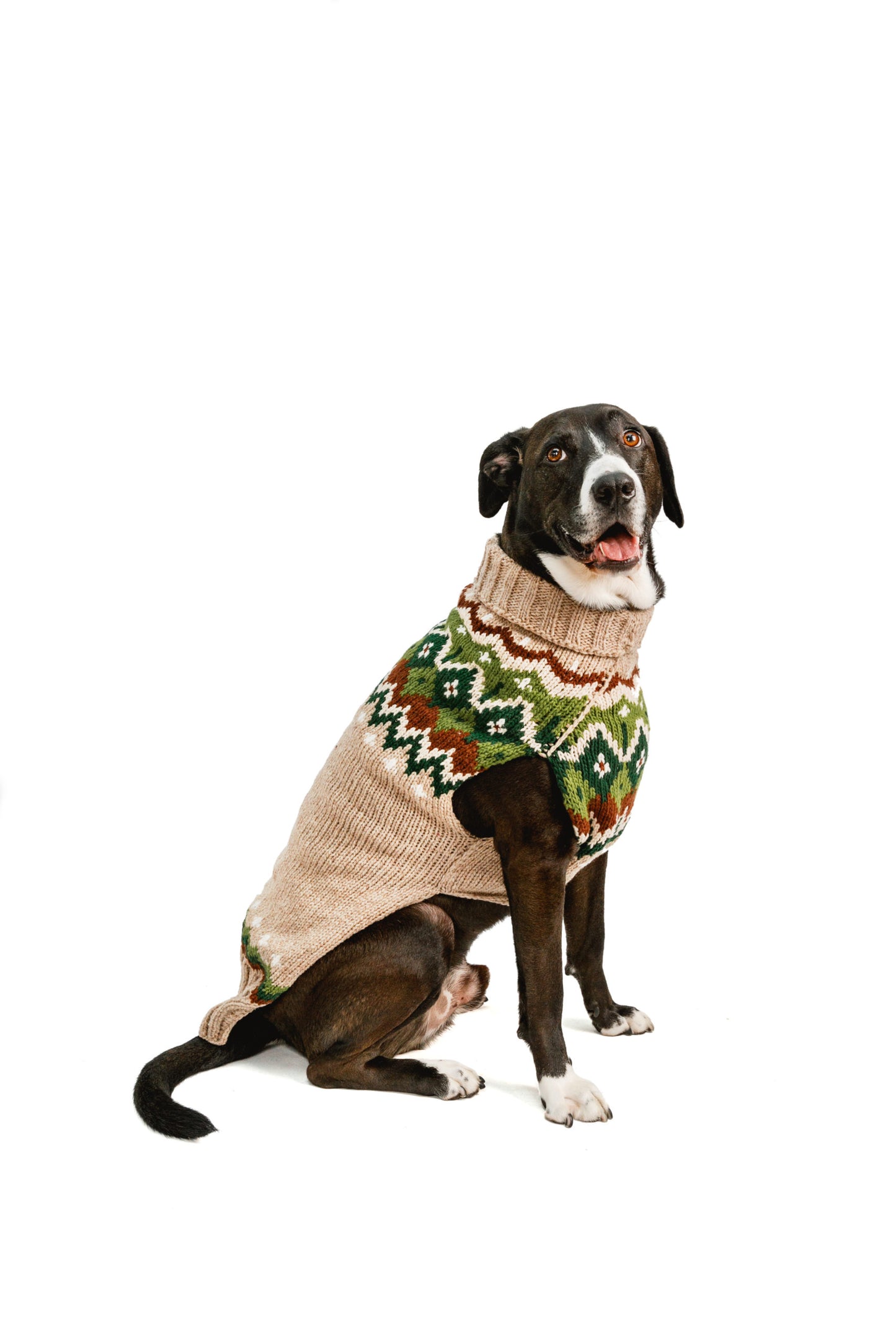 Ragg Wool Fairisle Dog Sweater - Trendy Dog Boutique