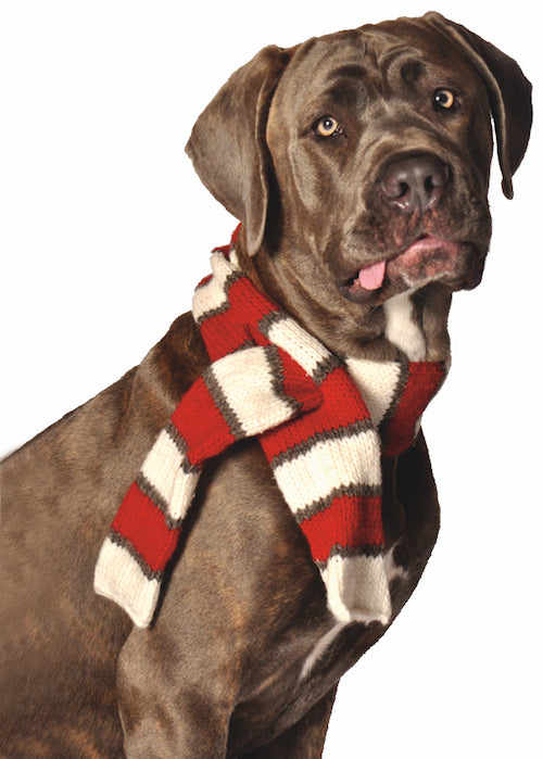 Red and White Stripe Dog Scarf - Trendy Dog Boutique