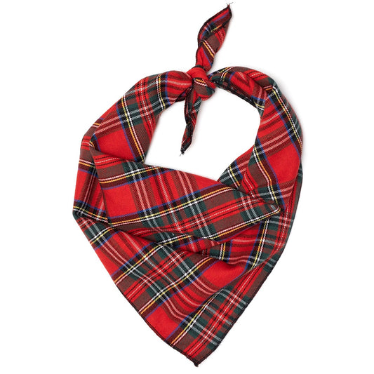 Classic Red Plaid Dog Bandana, Front View, Tied - Trendy Dog Boutique