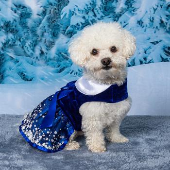 Holiday Snowflake Harness Dog Dress - Trendy Dog Boutique