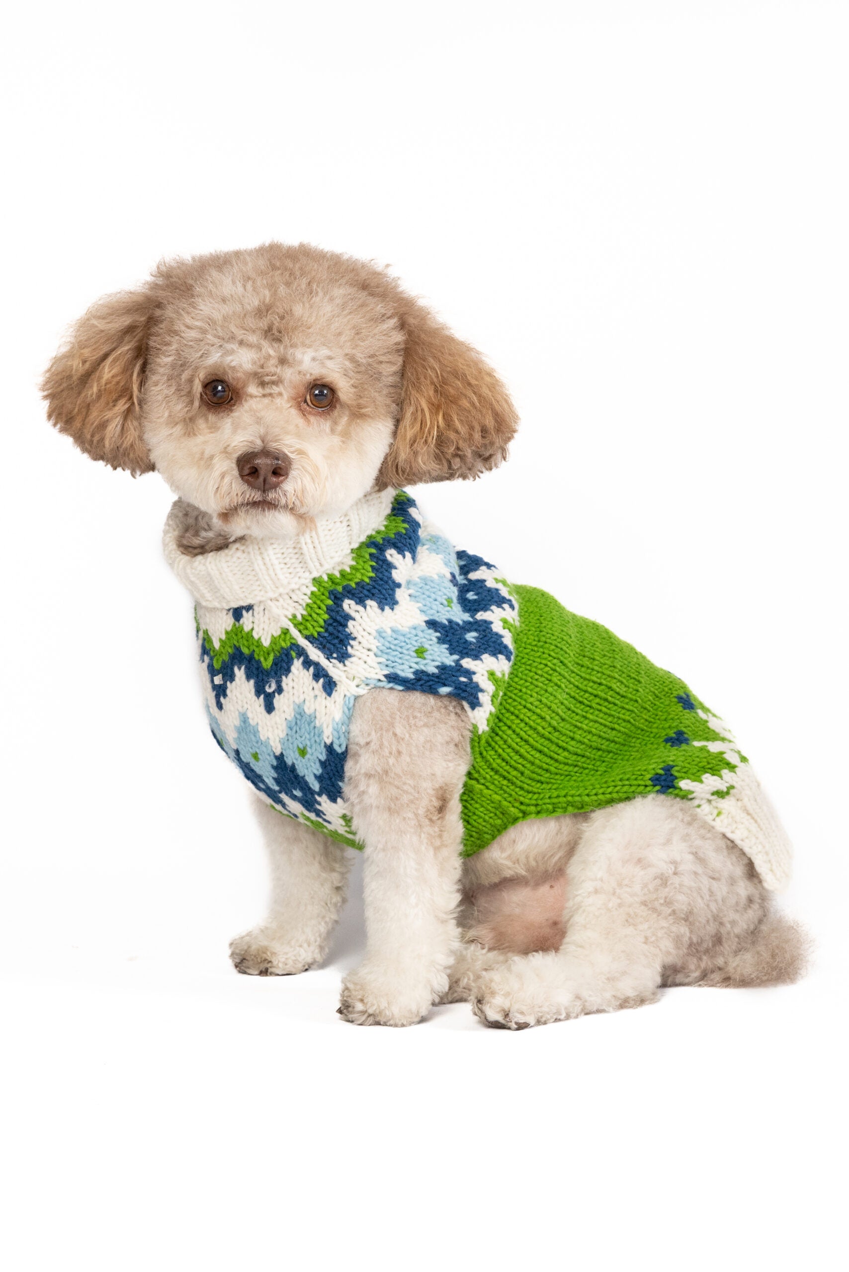 Spring Ski Bum Wool Dog Sweater - Trendy Dog Boutique