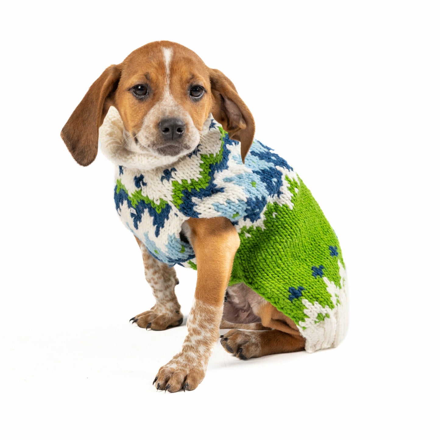 Spring Ski Bum Wool Dog Sweater - Trendy Dog Boutique