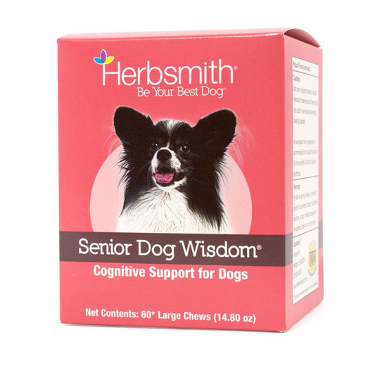 Senior Dog Wisdom: Cognitive Support - Trendy Dog Boutique