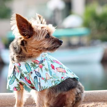 Surfboards and Palms Hawaiian Doggie Shirt, On Dog - Trendy Dog Boutique
