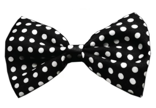 Swiss Polka Dot Dog Bow Tie, Black, Front View - Trendy Dog Boutique