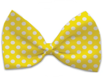 Swiss Polka Dot Dog Bow Tie, Yellow, Front View - Trendy Dog Boutique
