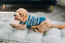 Alpaca Teal Fairisle Dog Sweater - Trendy Dog Boutique