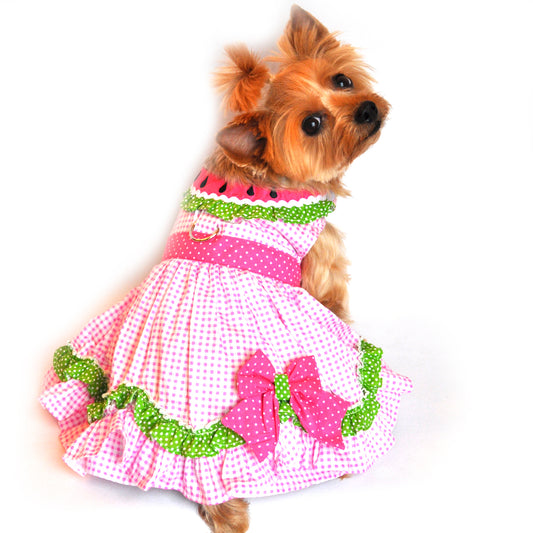 Watermelon Dog Harness Dress with Matching Leash - Trendy Dog Boutique